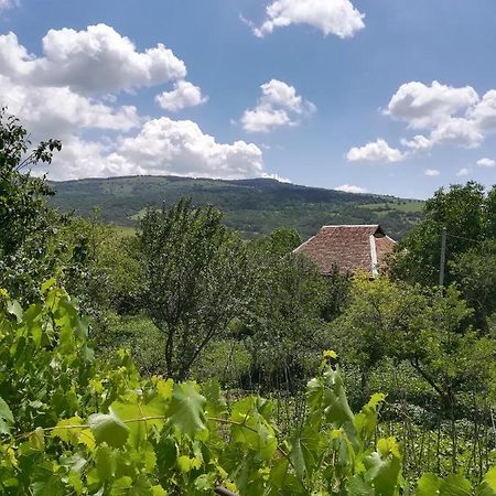 Guest House Luka Manglisi Exteriér fotografie
