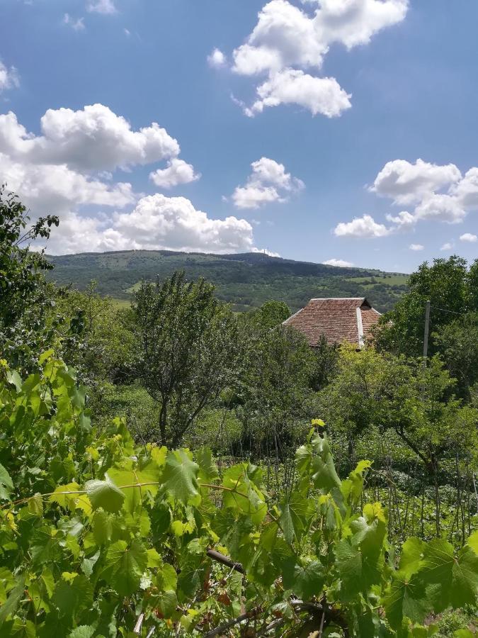 Guest House Luka Manglisi Exteriér fotografie